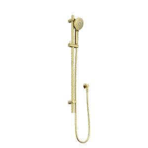 Elgin Brushed Gold  Hand Shower on Rail with Dual Check Valve & Elbow